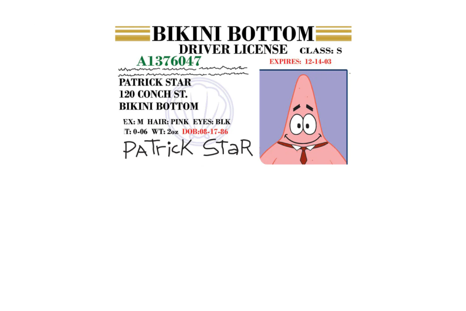 Patrick License - Image 5