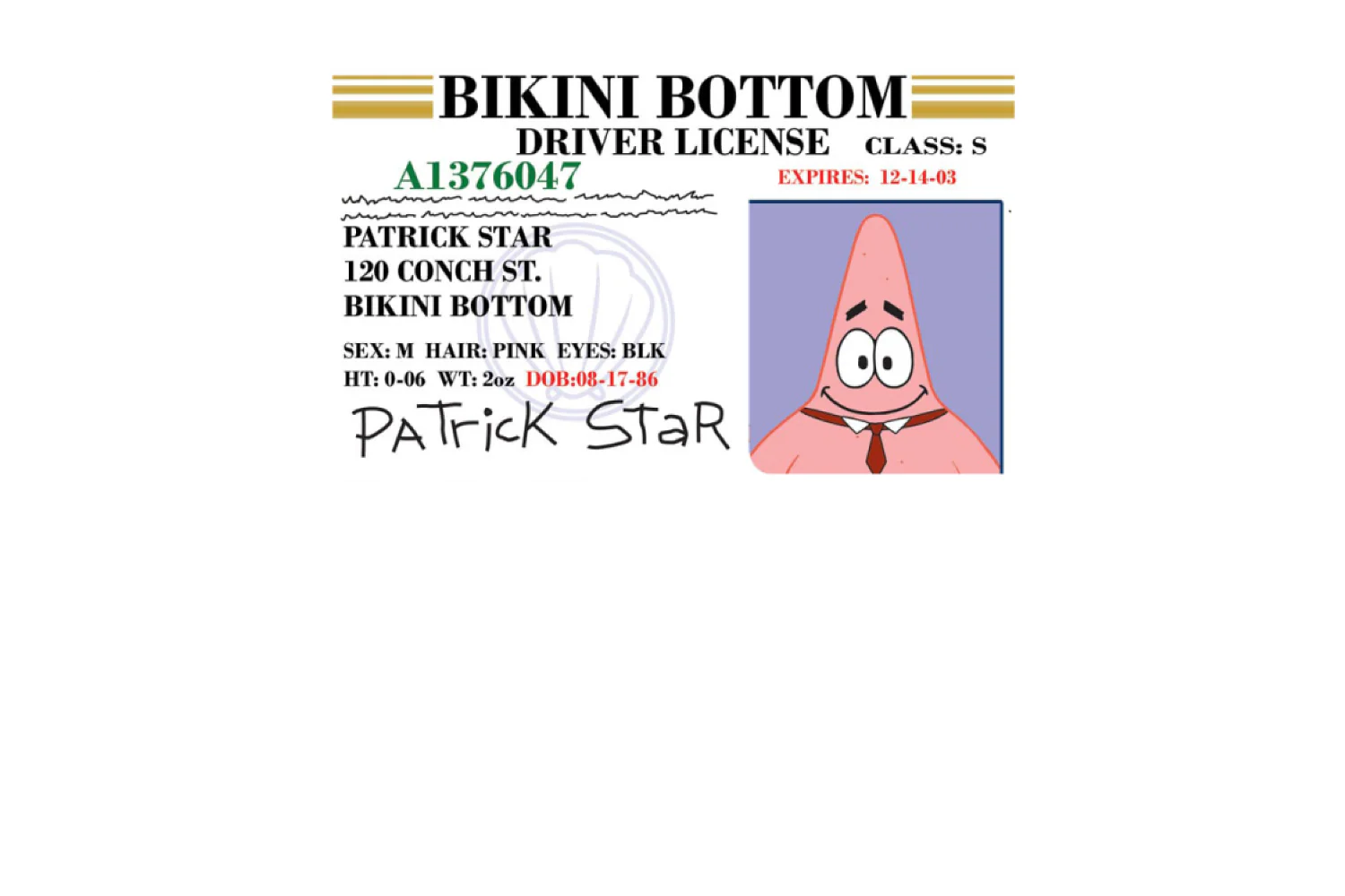 Patrick License - Image 6