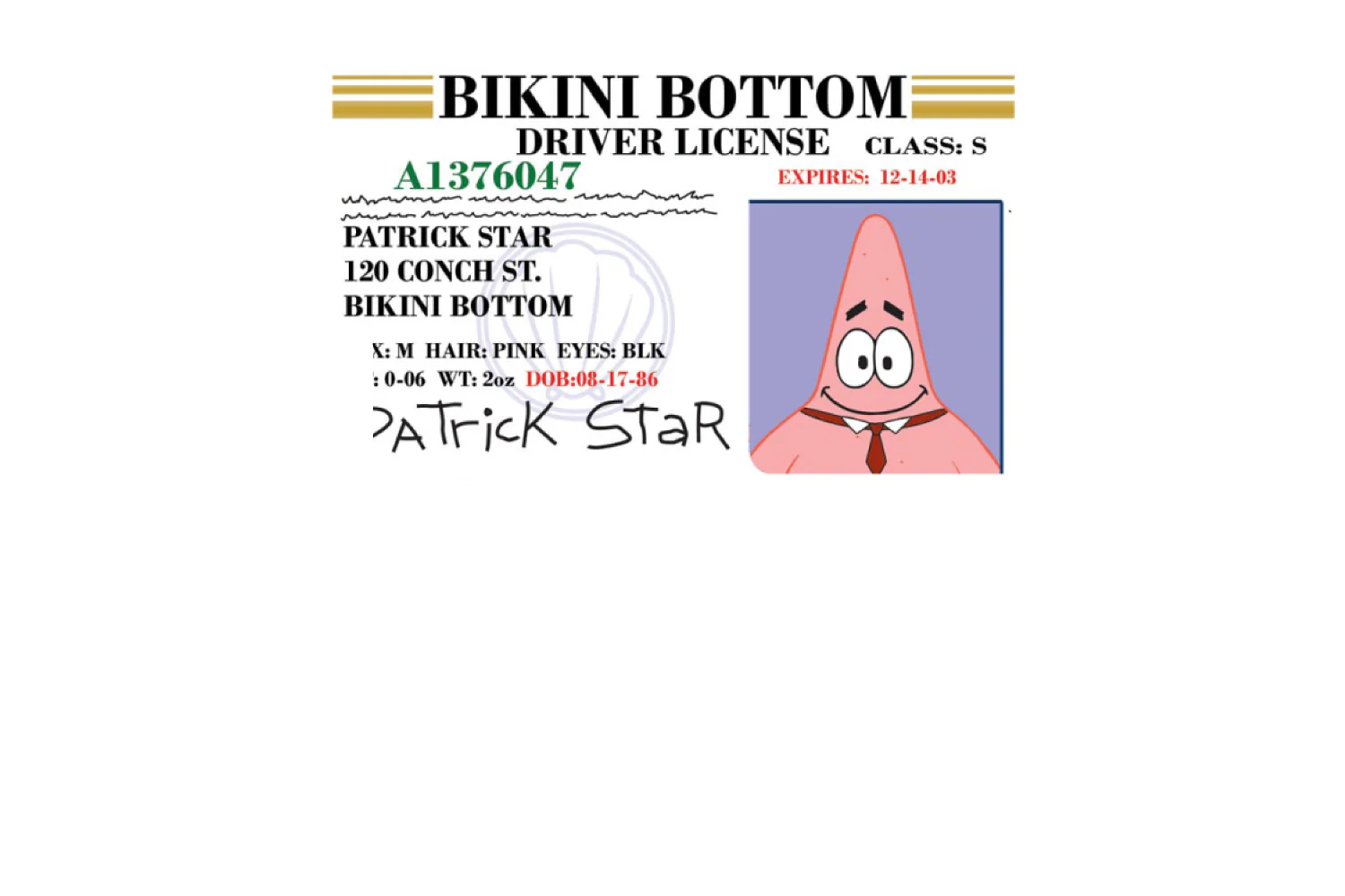 Patrick License - Image 7