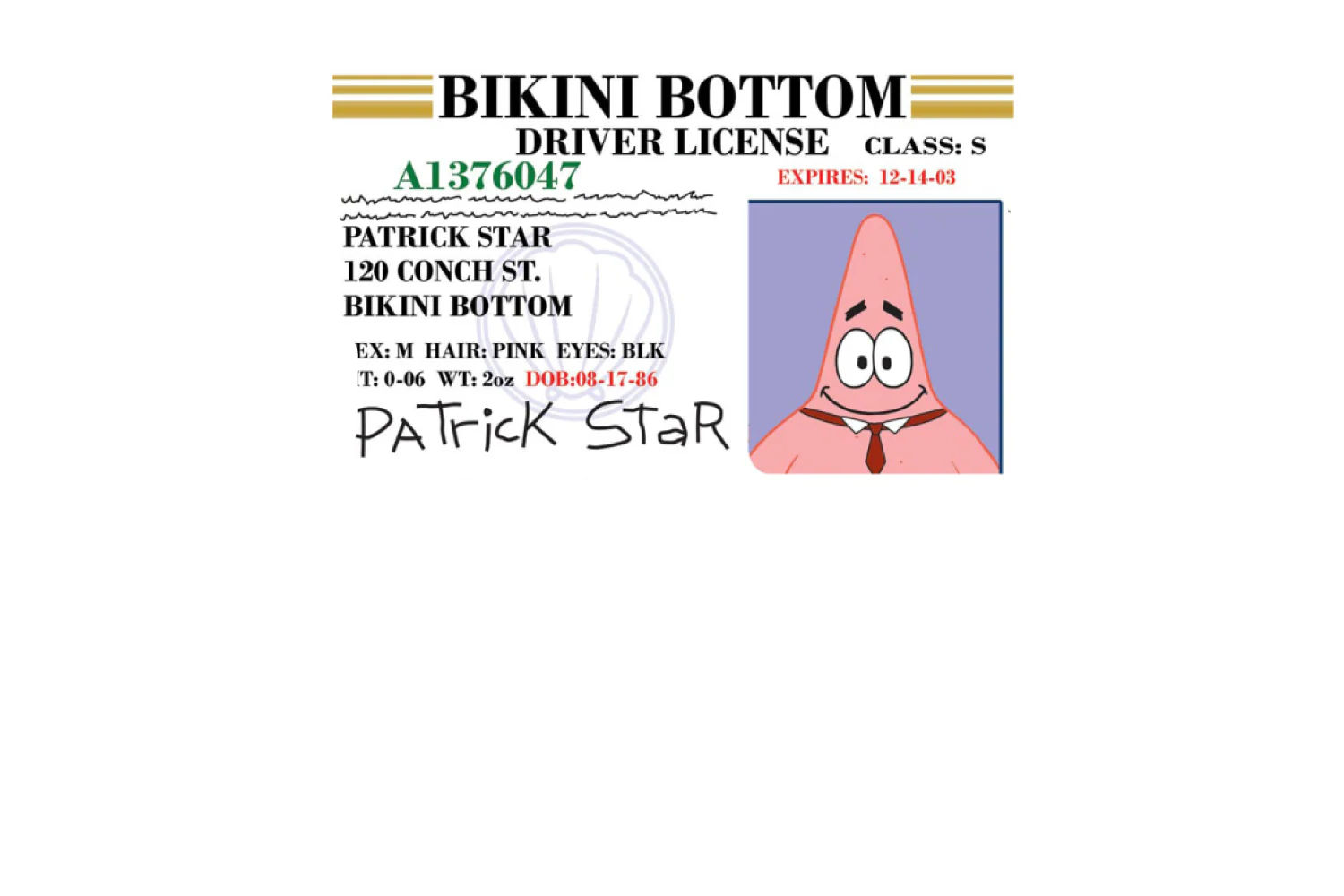 Patrick License - Image 8