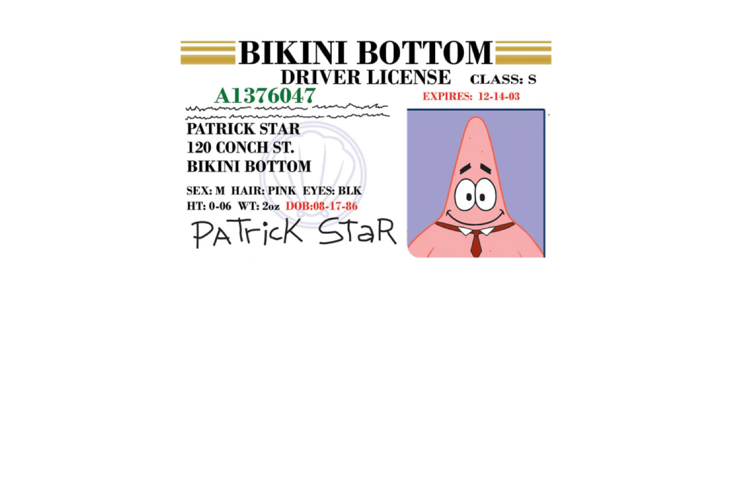 Patrick License - Image 9