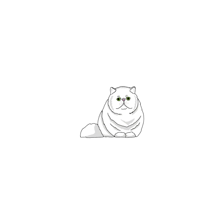 Persian Cat - Image 2