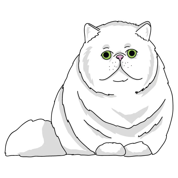 Persian Cat - Image 3