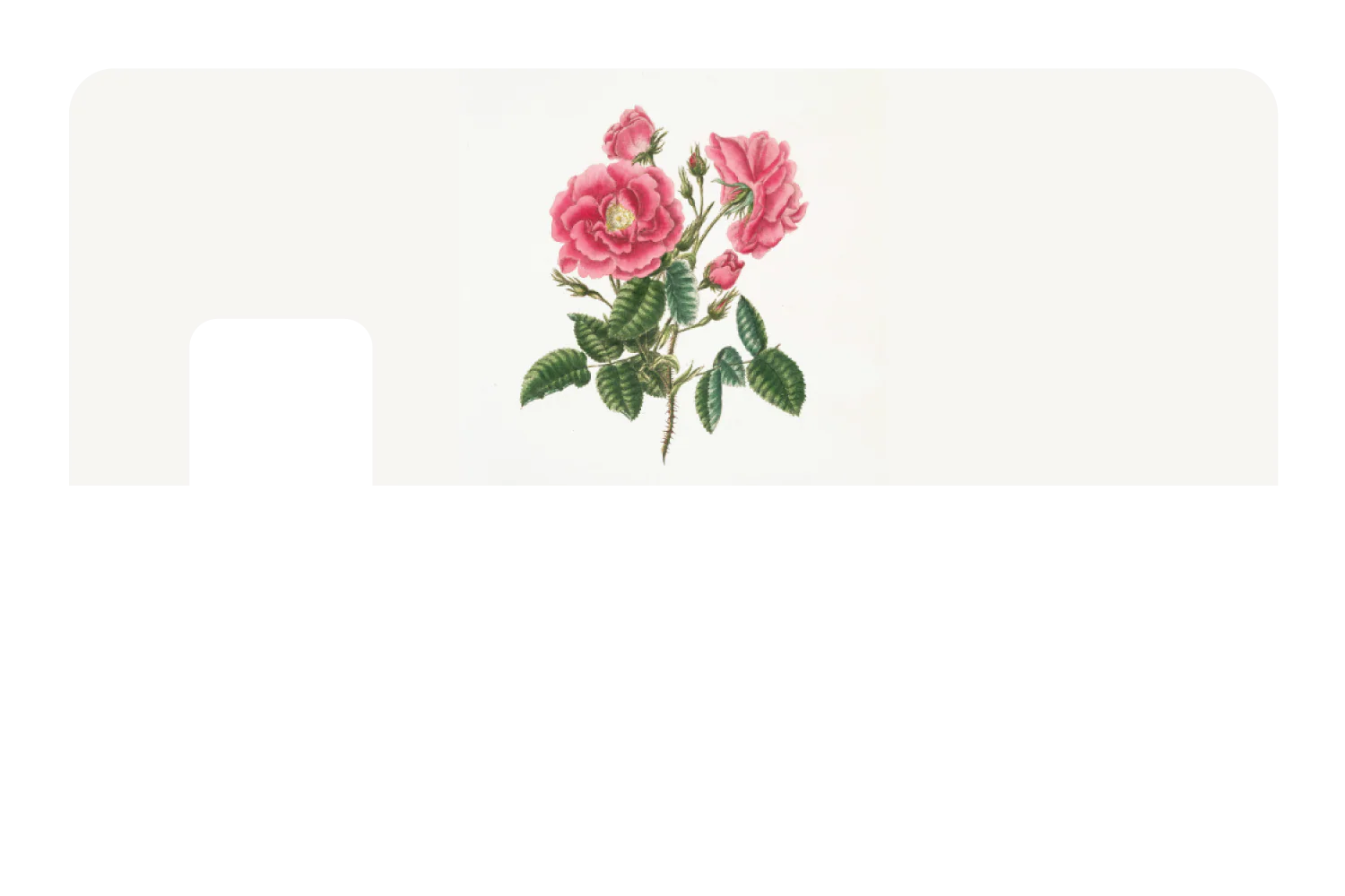 Petals & Positivity - Image 7