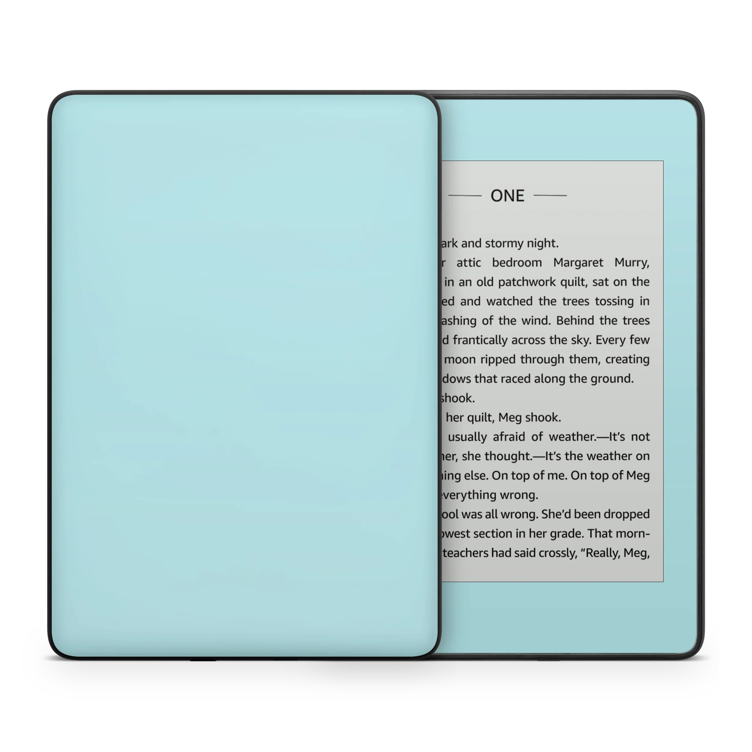 Powder Blue Kindle eReader Skin - Image 3