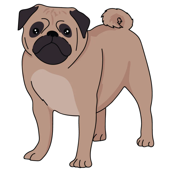 Pug - Image 3