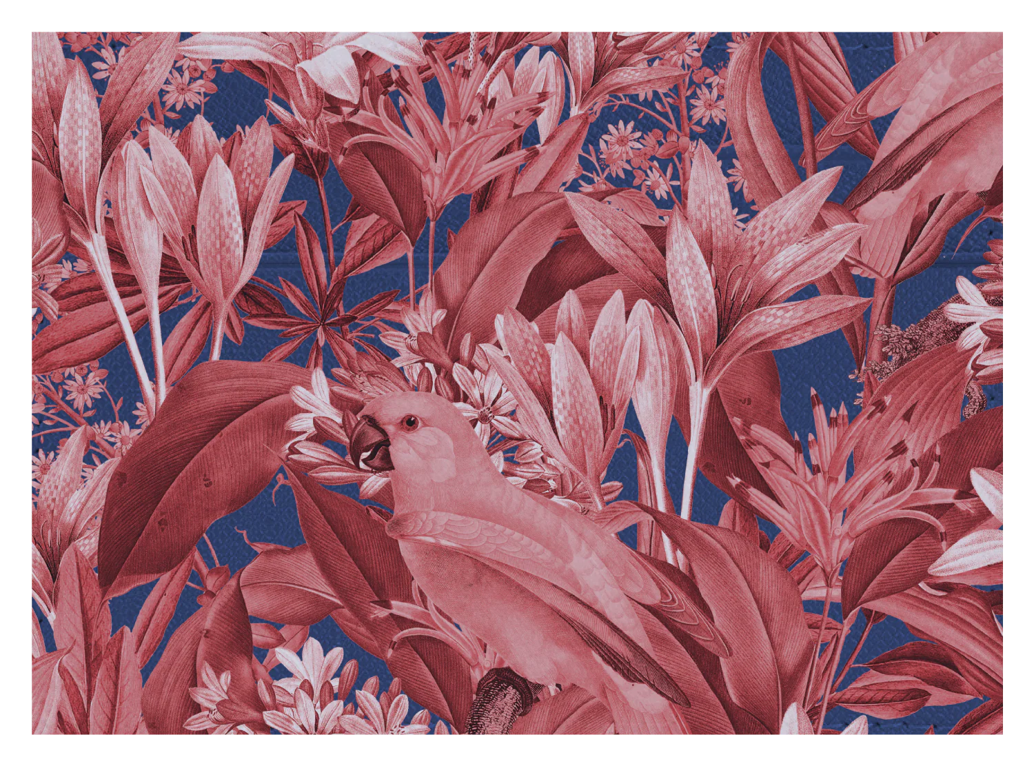 Red Parrot Floral - Image 2