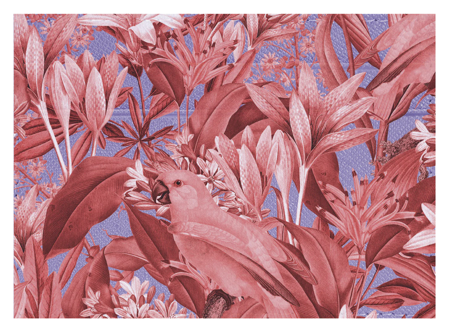 Red Parrot Floral - Image 3