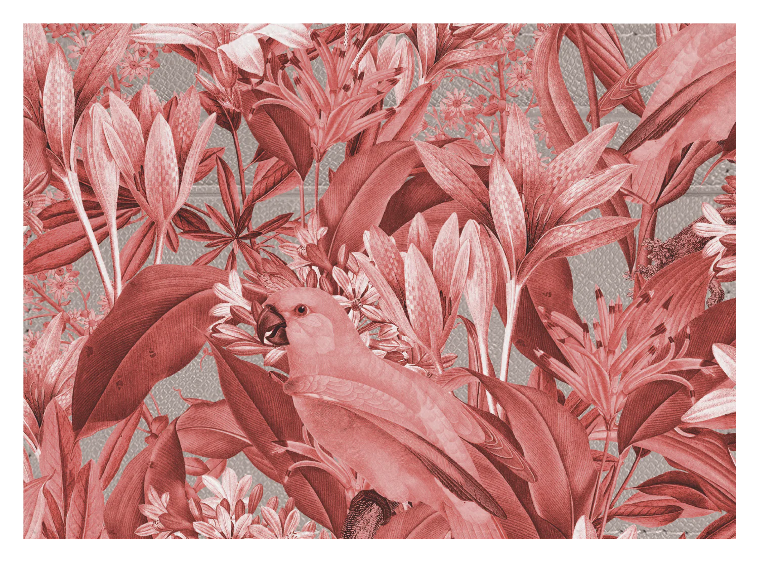 Red Parrot Floral - Image 4