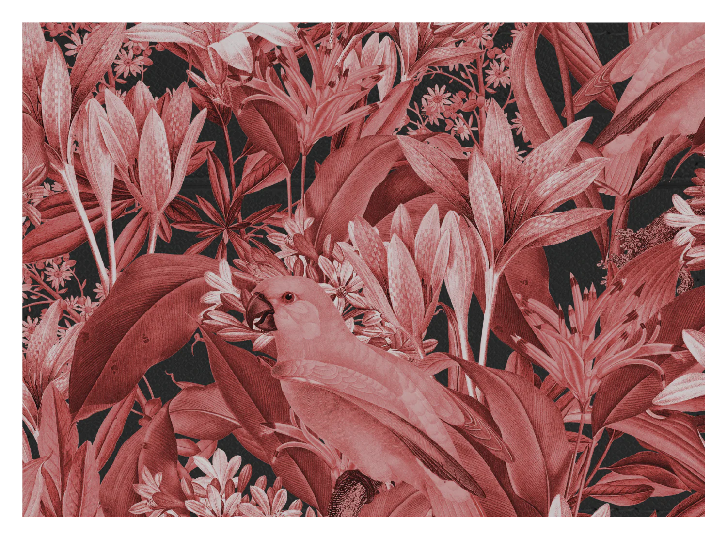 Red Parrot Floral - Image 5