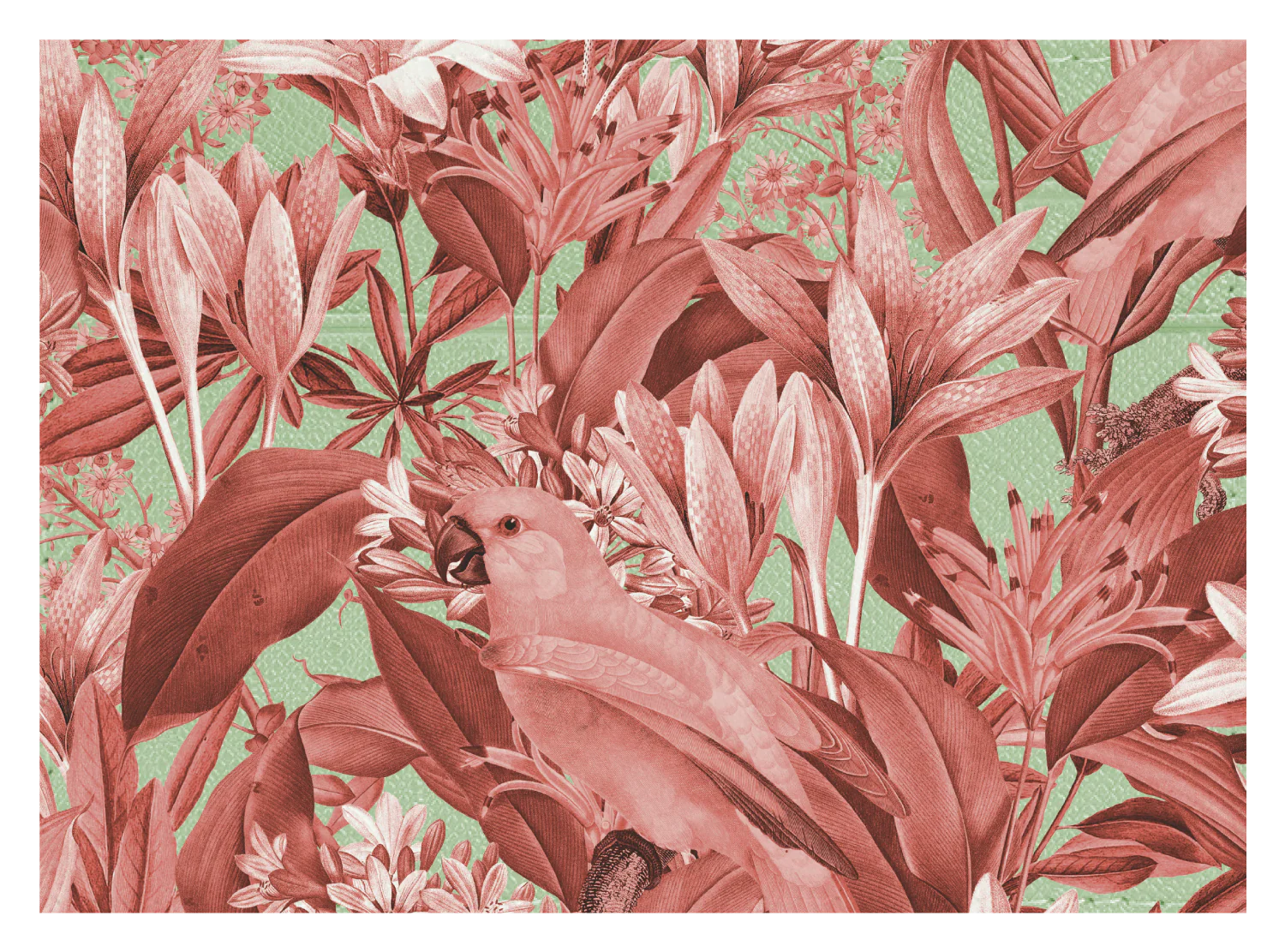 Red Parrot Floral - Image 6
