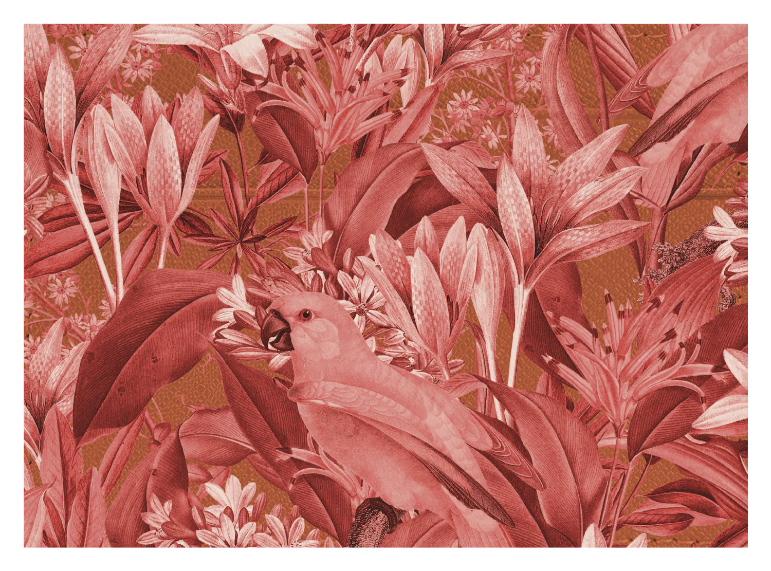 Red Parrot Floral - Image 7