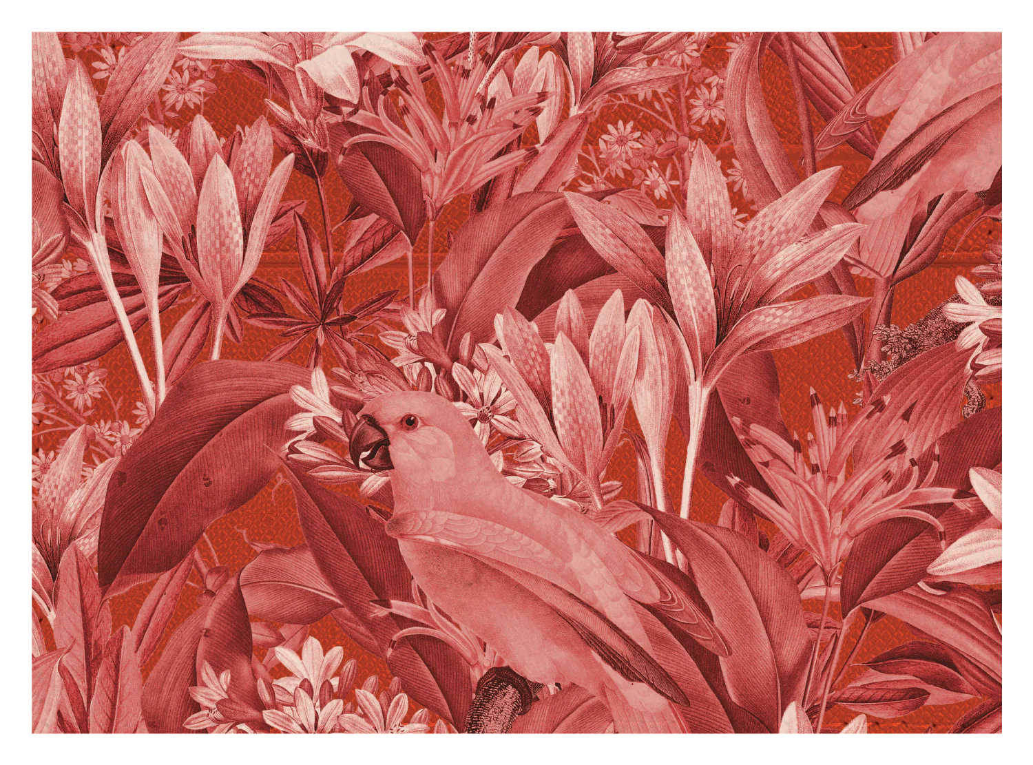Red Parrot Floral - Image 9