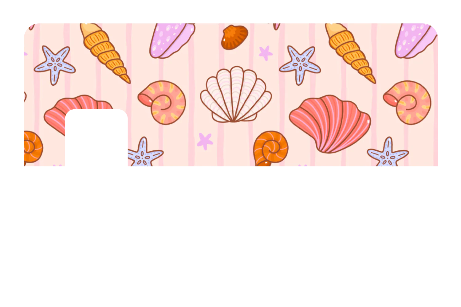 Seashells - Image 7