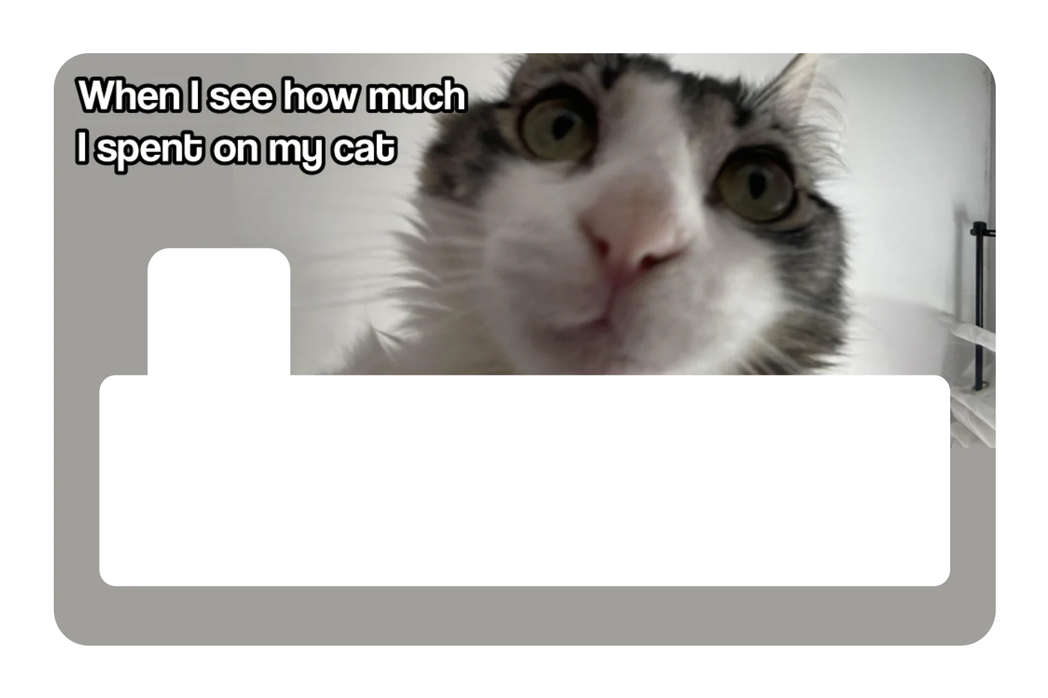 Spent On My Cat - Image 4
