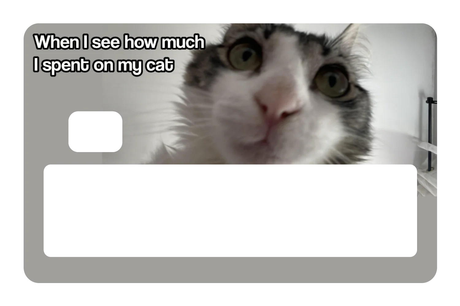 Spent On My Cat - Image 5