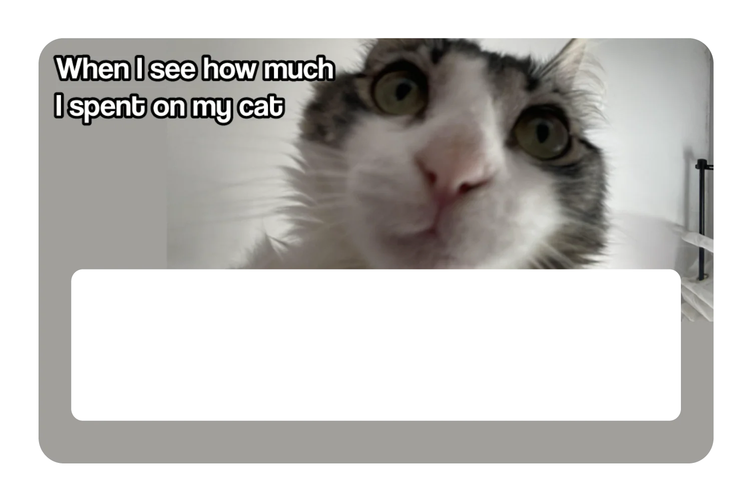Spent On My Cat - Image 6