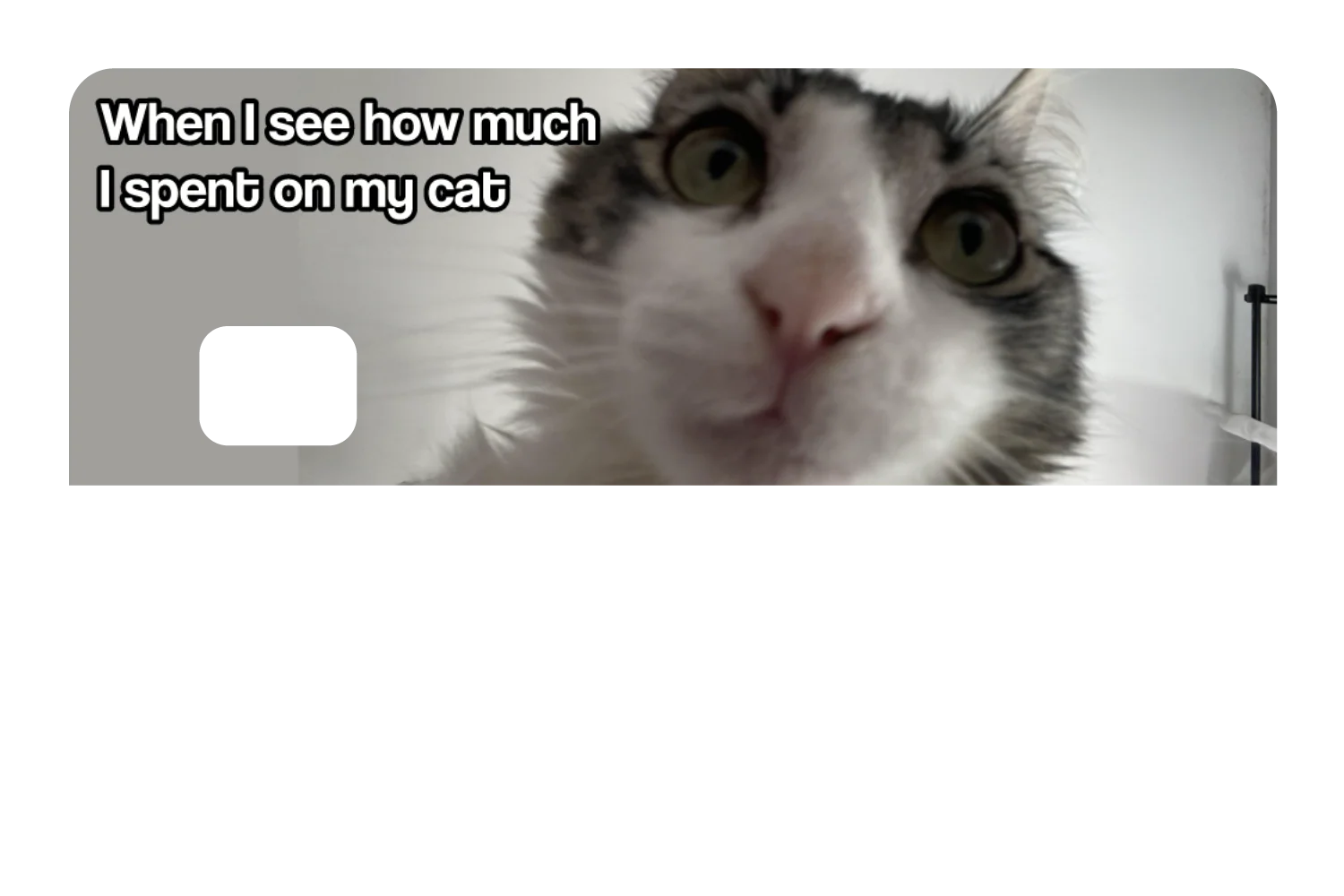 Spent On My Cat - Image 8