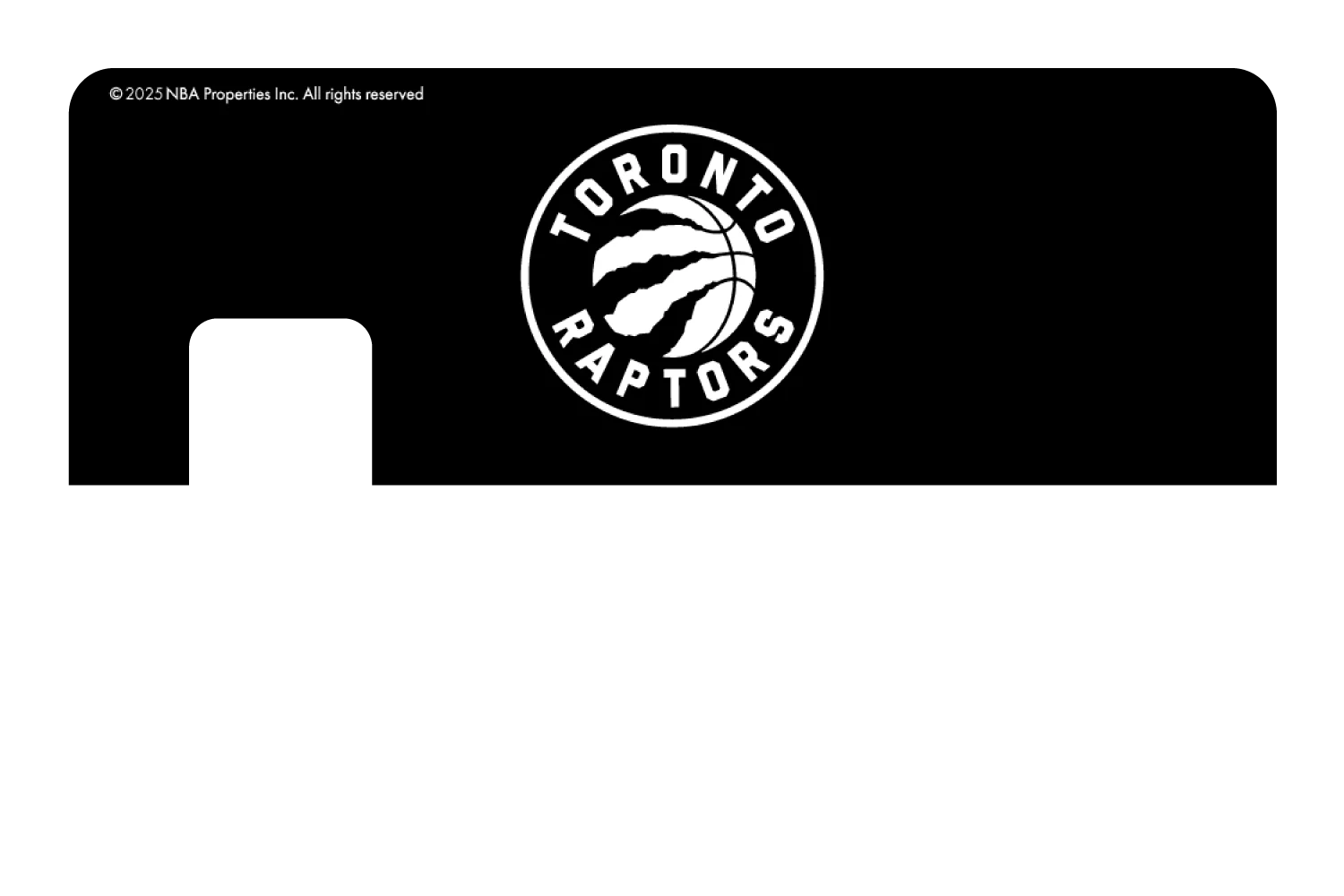 Toronto Raptors: Black Edition - Image 7