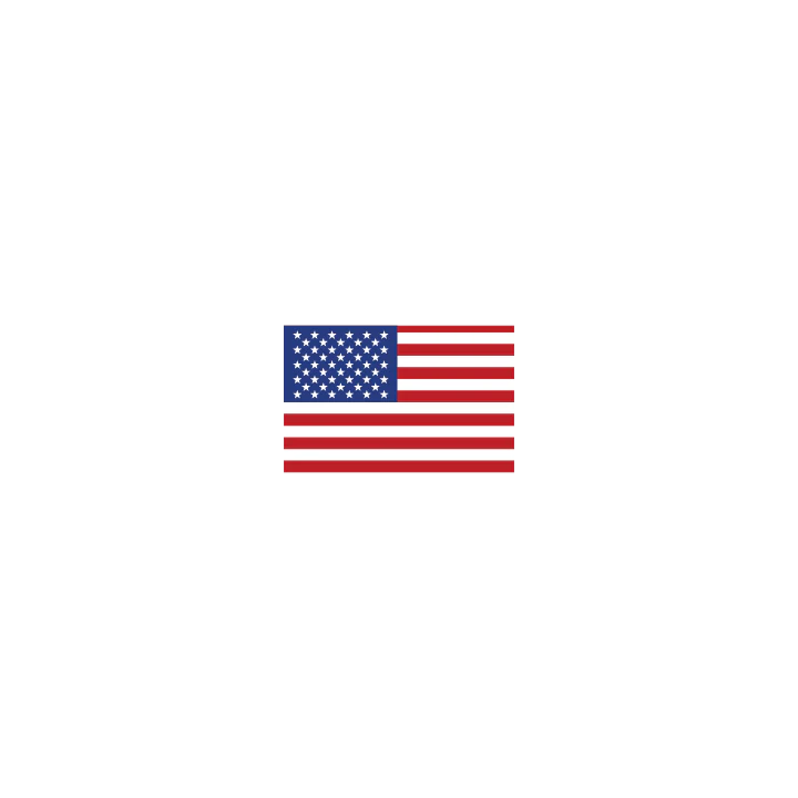 USA Flag - Image 2