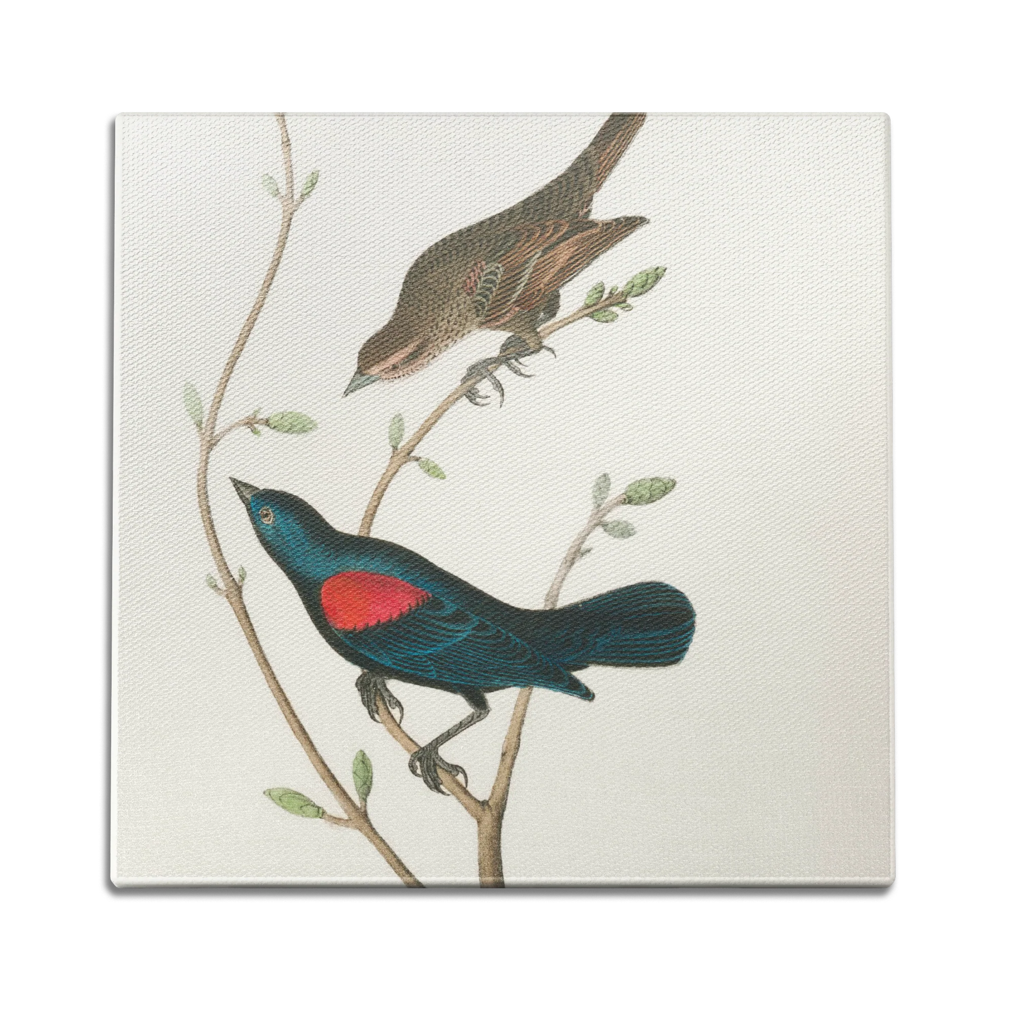 At The Tree Top Wall Art