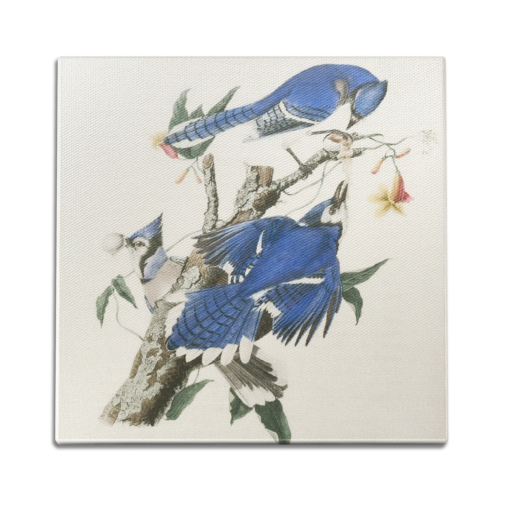 Blue Jays Wall Art