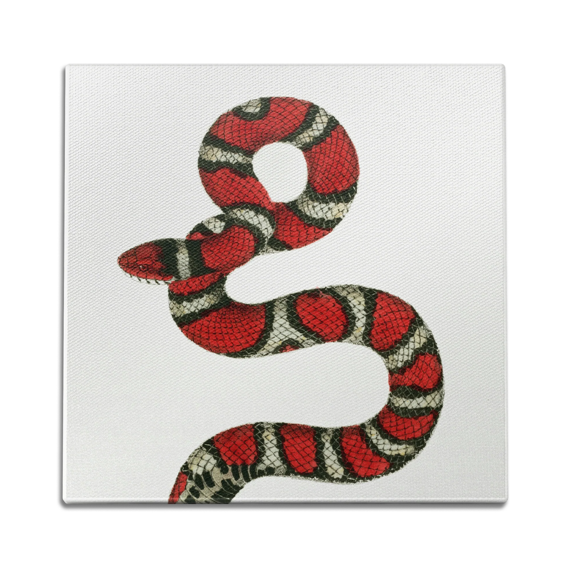 Milk Snake Wall Art