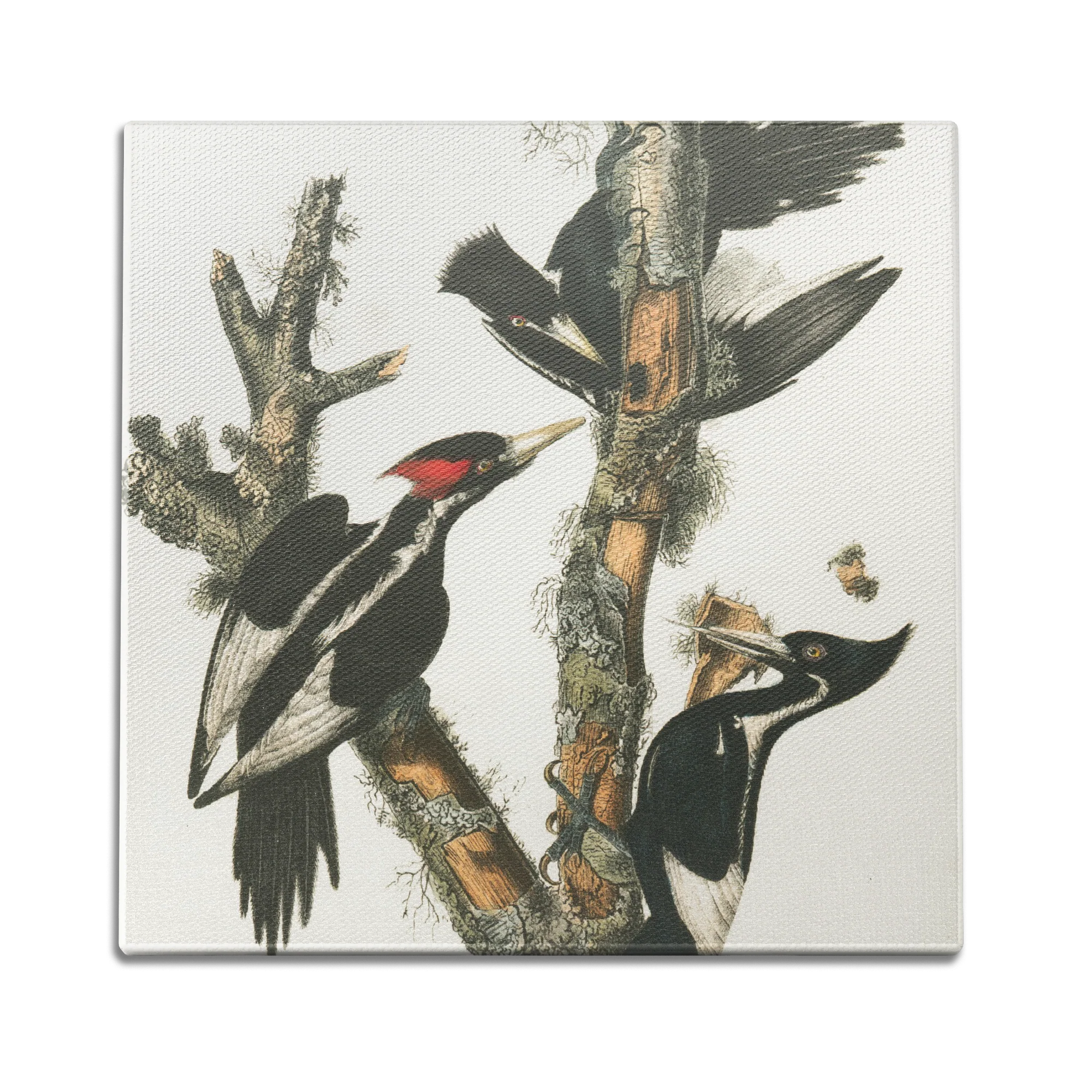 Wood Peckers Wall Art