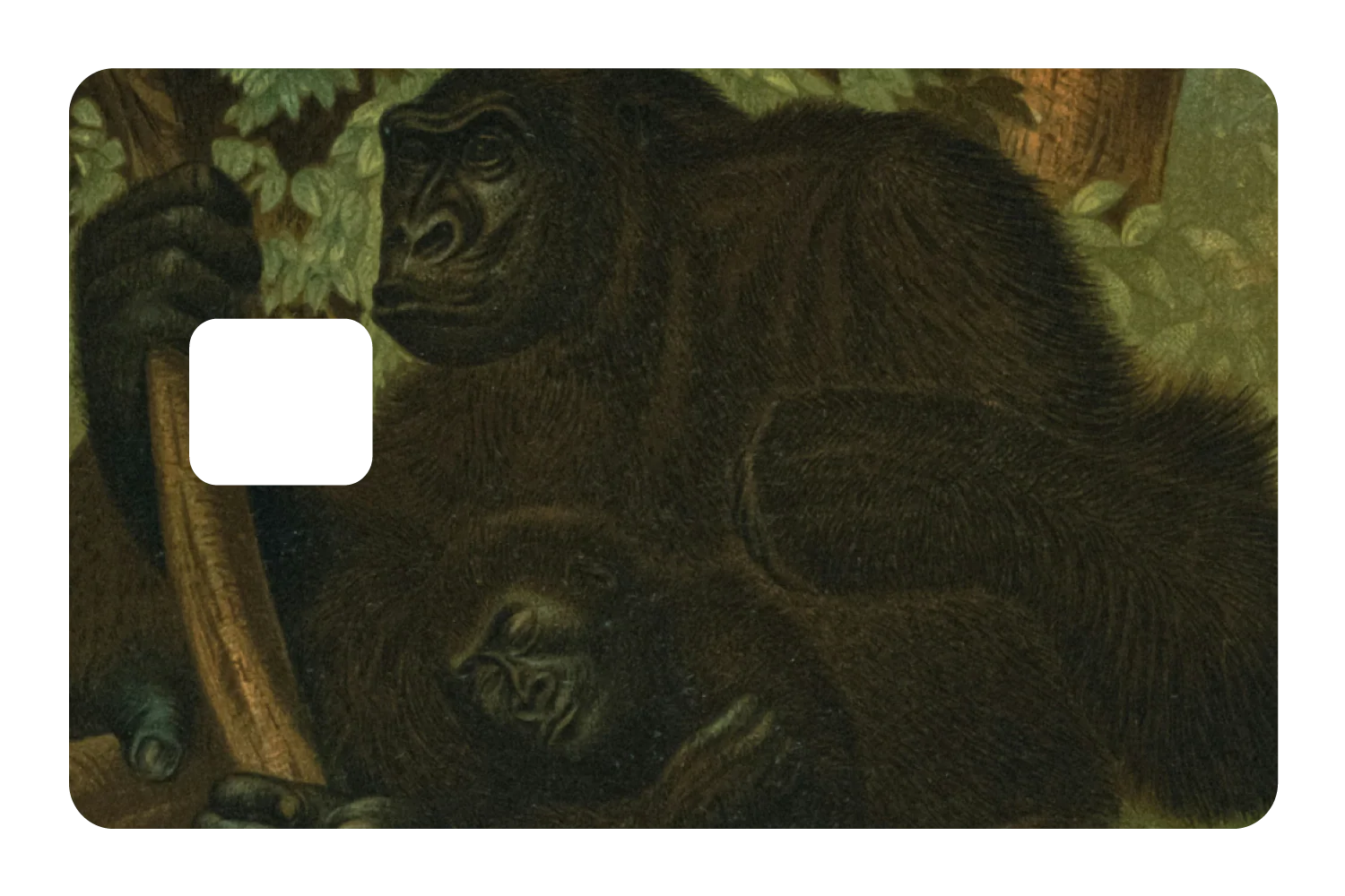 Warm & Wild - Image 3
