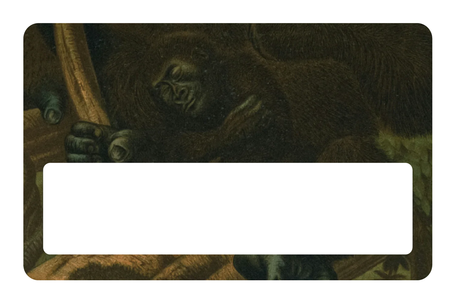 Warm & Wild - Image 6