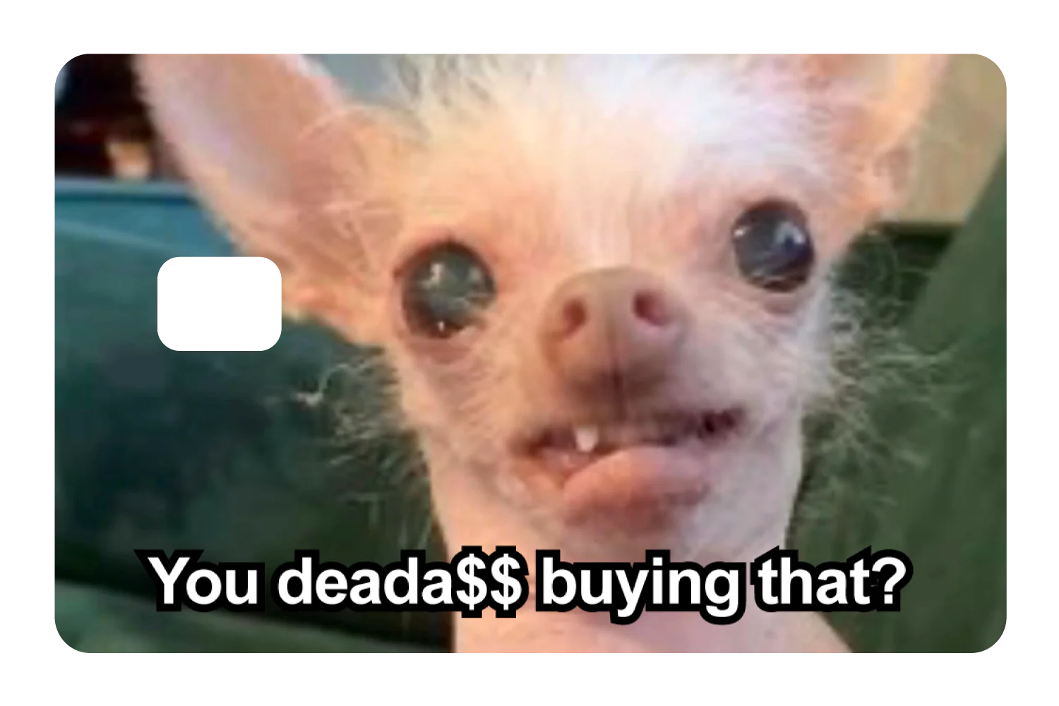 You Deada$$ - Image 2