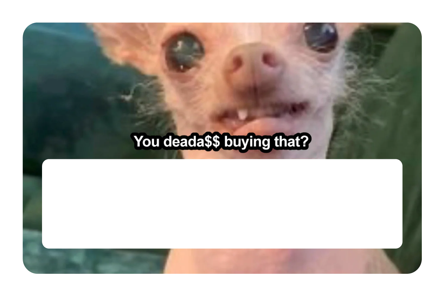 You Deada$$ - Image 6